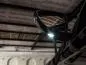 Preview: SMD LED Umfeldbeleuchtung Module für Land Rover Range Rover Sport 2005-2013
