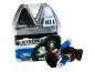 Preview: LETRONIX H11 12V 55W Halogen Leuchtmittel 8500K Xenon Gas Ultra White