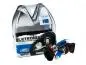 Preview: LETRONIX H8 12V 35W Halogen Leuchtmittel 8500K Xenon Gas Ultra White