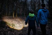 Preview: OSRAM LEDinspect TORCH 350 ESSENTIAL LED Taschenlampe Arbeitsleuchte - LEDIL428ESN