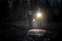 Preview: OSRAM LEDinspect TORCH 350 ESSENTIAL LED Taschenlampe Arbeitsleuchte - LEDIL428ESN