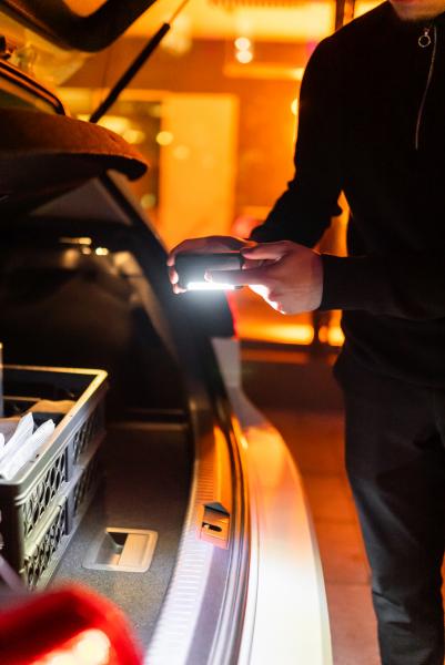 Osram LEDambient LED Lampe Kofferraumbeleuchtung Trunk Light  - LEDINT106