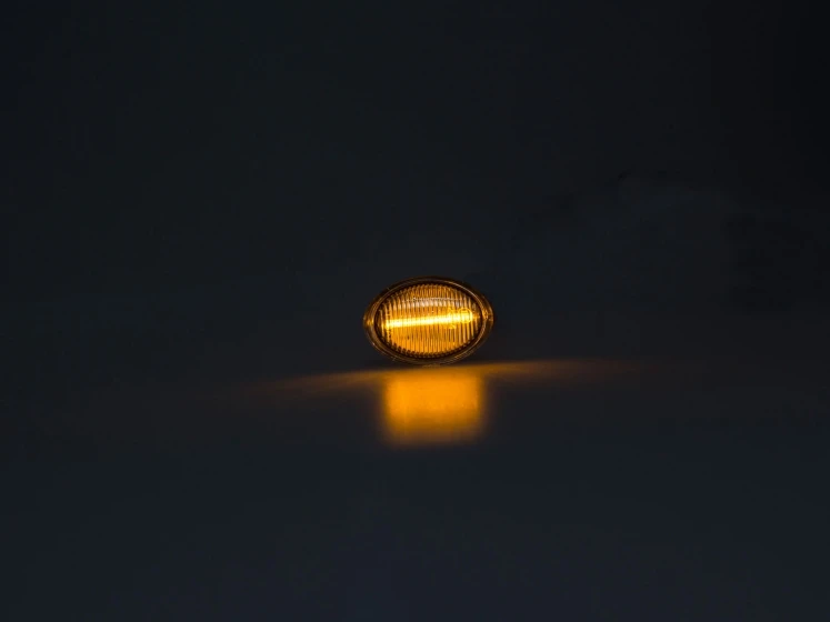 LED Seitenblinker Blinker Klar Silber für Fiat 500L Typ ZAF 199 ab 2012