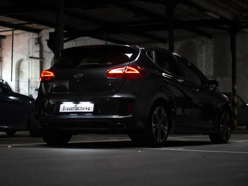 SMD LED Kennzeichenbeleuchtung Module für Renault Megane 4 IV ab 2016